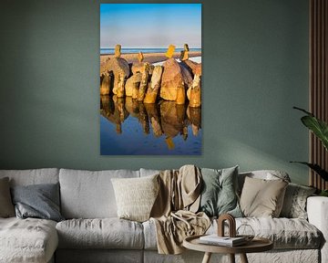 Groyne on shore of the Baltic Sea by Rico Ködder