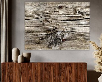 Wood 2 by Sarah Richter