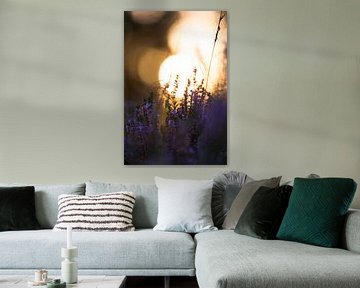 Untergehende Sonne mit lila Heidekraut von Mark Scheper