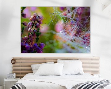Spinnenweb met dauw op bloeiende heideplant