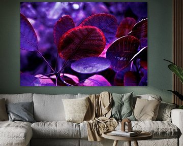 Bloeiende herfstbladeren in paars - Pantone Violet EC