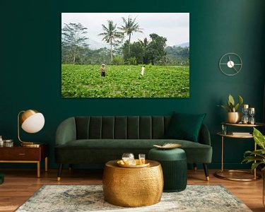 Aperçu de la chambre