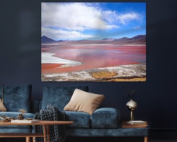 Het rode meer, Laguna Colorada bij Uyuni in Bolivia van iPics Photography