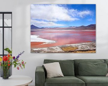 Het rode meer, Laguna Colorada bij Uyuni in Bolivia van iPics Photography