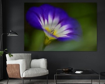een klein kunstzinnig paars zomerbloemetje