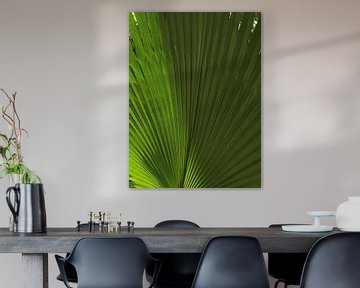Groen palm blad structuur  van Samantha Enoob