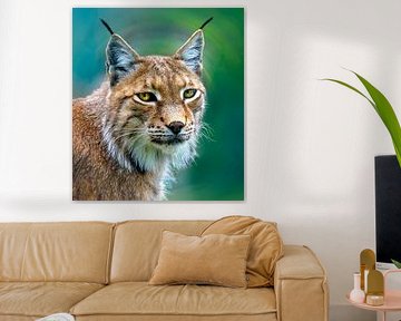 Portrait of a lynx