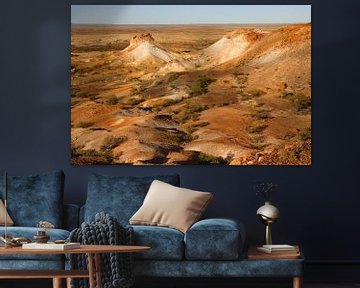 Painted desert van Antwan Janssen
