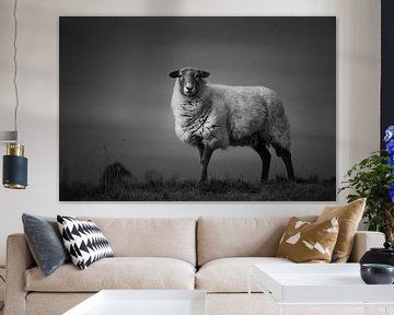 One sheep in the heather van Luis Boullosa