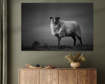One sheep in the heather van Luis Boullosa