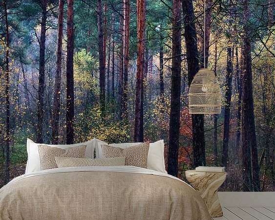 Aperçu de la chambre