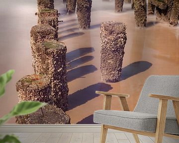 Golfbrekers bij Domburg (Nederland)