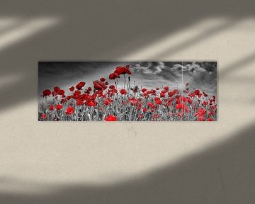 Idyllische Poppy Field | Panorama van Melanie Viola