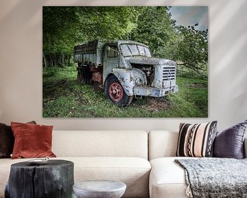 Old truck in the forest by Inge van den Brande