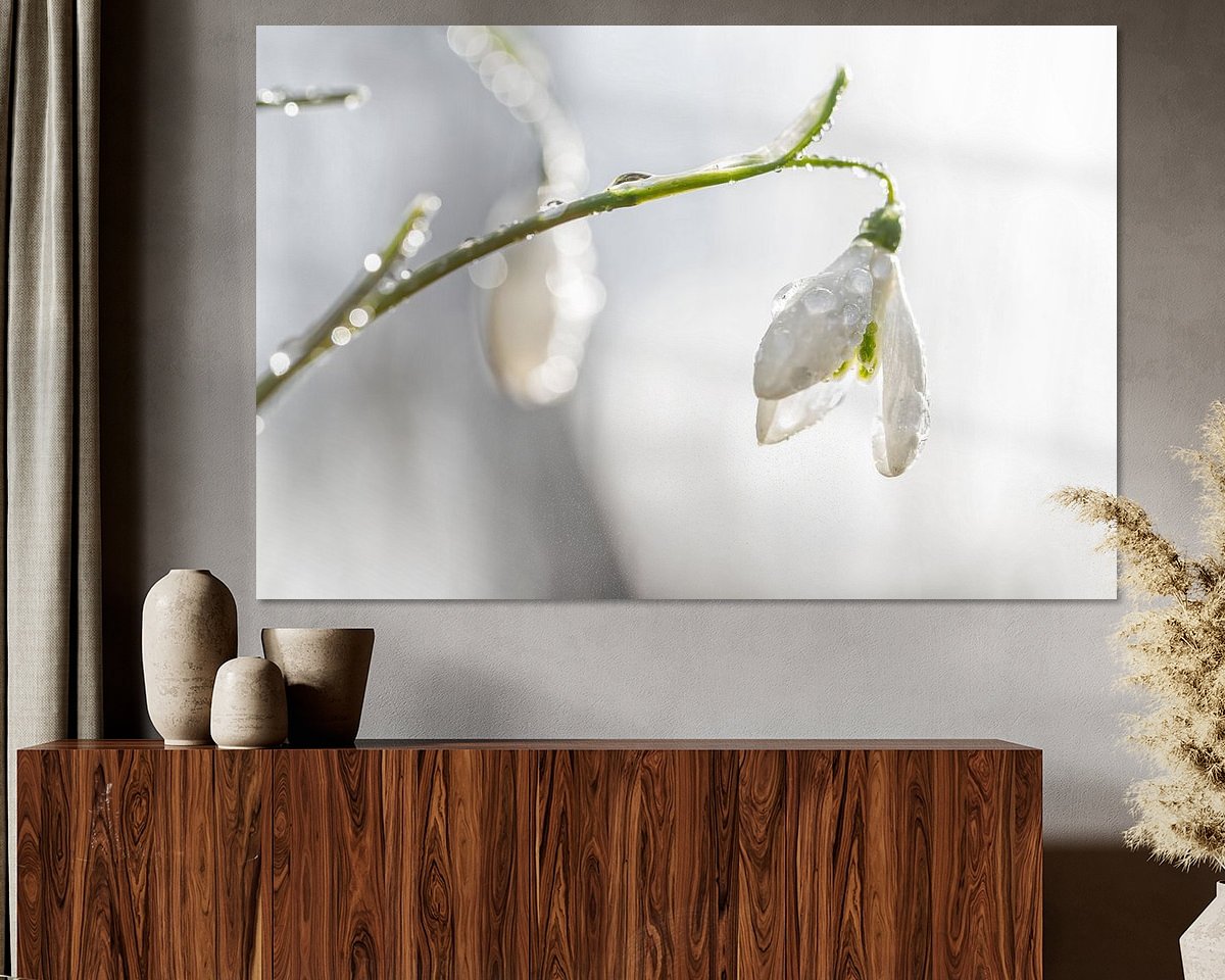 Raumvorschau