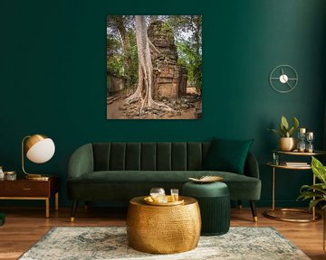 Vervlochten boom en tempel, Ta Prohm, Cambodja van Rietje Bulthuis