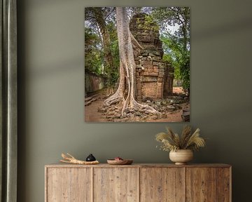 Vervlochten boom en tempel, Ta Prohm, Cambodja van Rietje Bulthuis