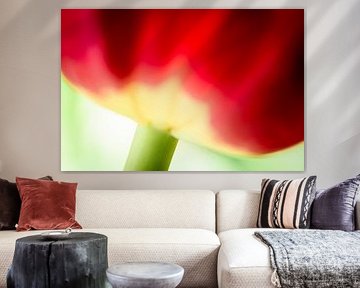Tulp von Patty Elferink