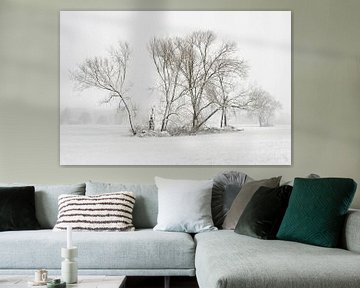 Trees in winter in snow van wunderbare Erde