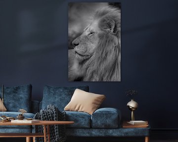 Lion in black and white van Ron Meijer Photo-Art