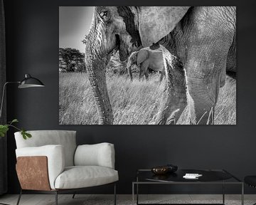 Elefantenrahmen von Claudia van Zanten