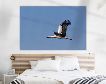 Stork in flight - No. 01 van Ursula Di Chito