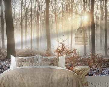Nebel über schmelzendem Schnee