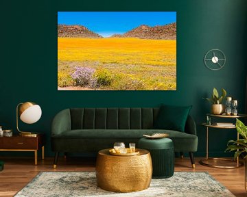 Sea of Flowers Karoo Afrique du Sud sur Erwin van Liempd