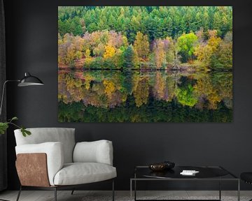 Herbst im Spiegelbild von Erwin van Liempd