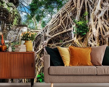 Grabräuber, Tempel Ta Prohm, Kambodscha