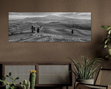 The Gladiator Road, Toscane, Zwart Wit van Teun Ruijters