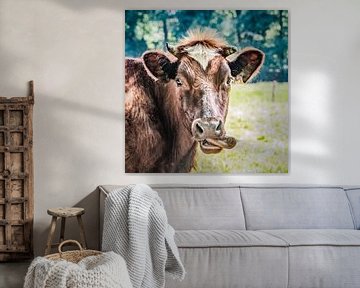 cow by Freddy Hoevers
