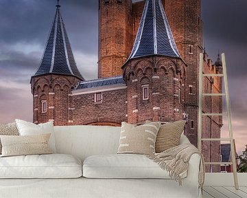 Amsterdamse Gate, Haarlem
