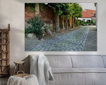 A street in Harderwijk during a summer evening