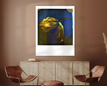 Gele tulp op polaroid van Lilian Wildeboer