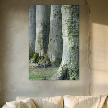  Trees and tree trunk with letters KH and moss in green