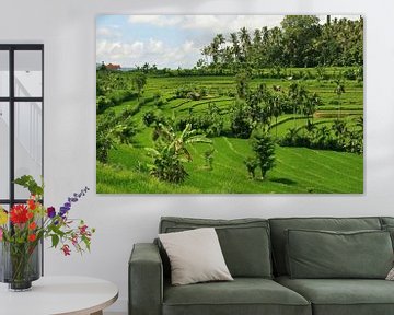 Rice field on Java by Antwan Janssen