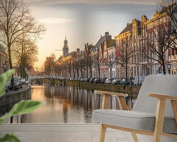 Leiden's Rapenburg in the morning light by Martijn van der Nat