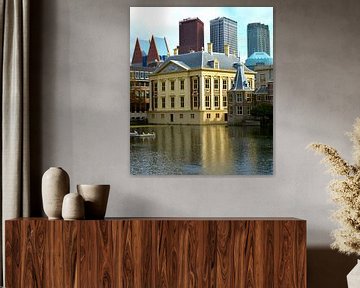 Mauritshuis Den Haag van Erwin Reinders