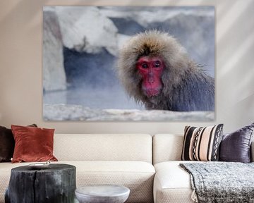 Snow Monkey 4 van Ewald Verholt