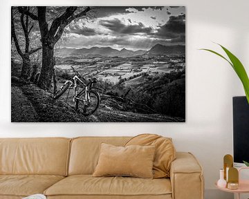 Mountainbike von Frans Scherpenisse