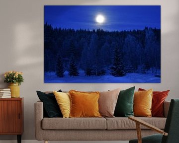 Moon in snowy landscape by M M