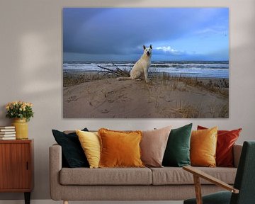 test sur Jordy Meulman