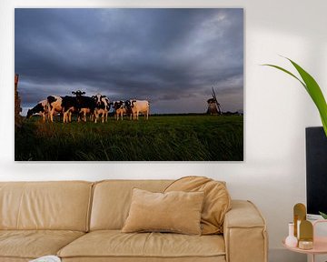 Les vaches au moulin sur Henk Keegstra