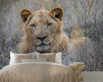 The Lion King by Lizanne van Spanje