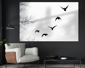 birds on route