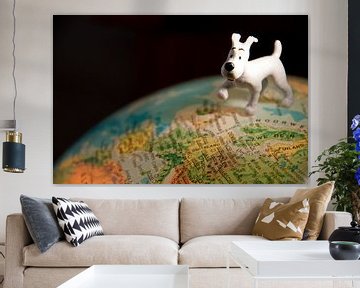 Journey around the world by Ooks Doggenaar