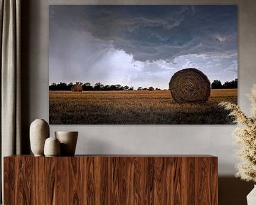 Toscaans landschap..... by Wim Schuurmans