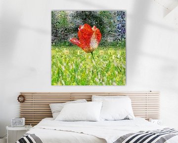 Tulp in veld van Carla van Zomeren