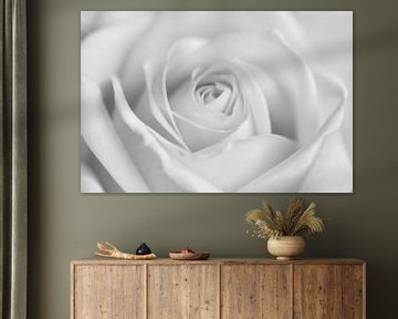 Canvas van een close-up van een roos in zwart-wit von Jeroen Jonker
